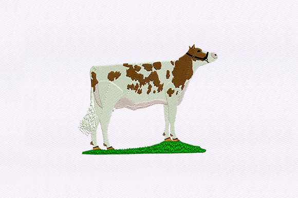 Review: Spotted Brown Cow Design for Craft Fairs